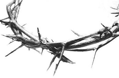 The thorn
